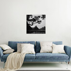 Spring In New Zealand I Print // Daniel Kordan (24"H x 24"W x 0.25"D)