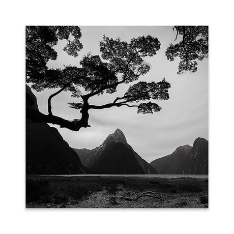 Spring In New Zealand I Print // Daniel Kordan (24"H x 24"W x 0.25"D)