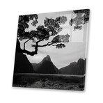 Spring In New Zealand I Print // Daniel Kordan (24"H x 24"W x 0.25"D)