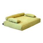 Allure Orthopedic Dog Bed // Lime