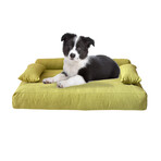 Allure Orthopedic Dog Bed // Lime