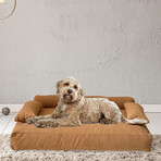 Allure Orthopedic Dog Bed // Rust