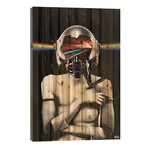 Event Horizon // Loui Jover (26"H x 18"W x 1.5"D)