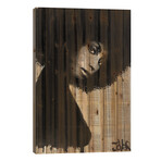 Celistine // Loui Jover (26"H x 18"W x 1.5"D)