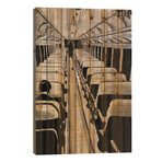 A Bigger Destiny // Loui Jover (26"H x 18"W x 1.5"D)