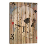 Human // Loui Jover (26"H x 18"W x 1.5"D)