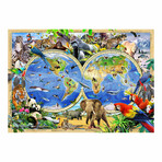 Animal Kingdom Map