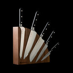 Meridian Elite Magnet Block // Set of 6