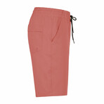 Men's Classic Trunks // Canyon (L)