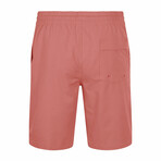 Men's Classic Trunks // Canyon (L)
