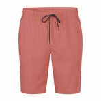 Men's Classic Trunks // Canyon (L)