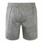 Men's Adventure Shorts // Harbor Mist Jaspe (S)