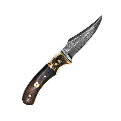 Damascus Hunting & Utility Knife // Stag And Walnut // 340
