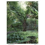 150 Gardens That You Must Visit Before You Die