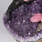 Custom Genuine Rose Quartz Clustered Gemstone Tree on Amethyst Matrix // The Love Tree // v.2