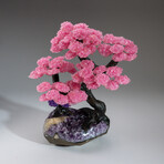 Custom Genuine Rose Quartz Clustered Gemstone Tree on Amethyst Matrix // The Love Tree // v.1