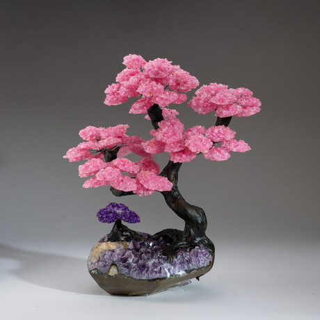 Custom Genuine Rose Quartz Clustered Gemstone Tree on Amethyst Matrix // The Love Tree // v.1