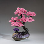 Custom Genuine Rose Quartz Clustered Gemstone Tree on Amethyst Matrix // The Love Tree // v.1