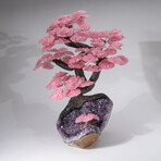Custom Genuine Rose Quartz Clustered Gemstone Tree on Amethyst Matrix // The Love Tree // v.2