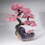 Custom Genuine Rose Quartz Clustered Gemstone Tree on Amethyst Matrix // The Love Tree // v.2