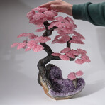 Custom Genuine Rose Quartz Clustered Gemstone Tree on Amethyst Matrix // The Love Tree // v.2