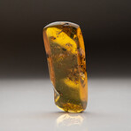 Genuine Amber from Baltic Sea, near Gdansk, Poland // v.1