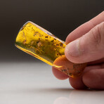 Genuine Amber from Baltic Sea, near Gdansk, Poland // v.1