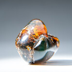 Genuine Polished Amber from Mexico // v.3
