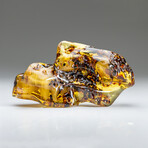 Genuine Gem-Quality Amber (Copal) from Colombia // v.4
