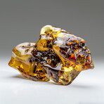 Genuine Gem-Quality Amber (Copal) from Colombia // v.4