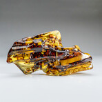 Genuine Gem-Quality Amber (Copal) from Colombia // v.4