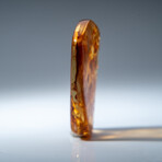 Genuine Amber from Baltic Sea, near Gdansk, Poland // v.3