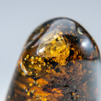 Genuine Polished Amber from Mexico