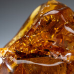 Genuine Gem-Quality Amber (Copal) from Colombia