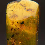 Genuine Amber from Baltic Sea, near Gdansk, Poland // v.1