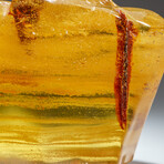 Genuine Gem-Quality Amber (Copal) from Colombia // v.1