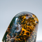 Genuine Polished Amber from Mexico