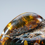 Genuine Polished Amber from Mexico // v.3