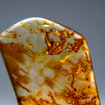 Genuine Amber from Baltic Sea, near Gdansk, Poland // v.3