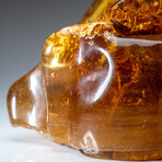 Genuine Gem-Quality Amber (Copal) from Colombia