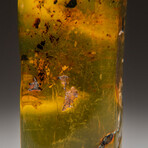 Genuine Amber from Baltic Sea, near Gdansk, Poland // v.1