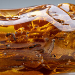 Genuine Gem-Quality Amber (Copal) from Colombia // v.7