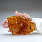 Genuine Amber from Baltic Sea, near Gdansk, Poland // 303.6 g