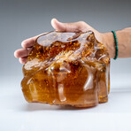 Genuine Gem-Quality Amber (Copal) from Colombia