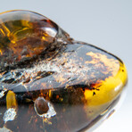 Genuine Polished Amber from Mexico // v.3