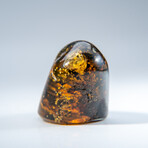 Genuine Polished Amber from Mexico