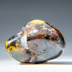 Genuine Polished Amber from Mexico // v.3