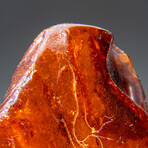 Genuine Amber from Baltic Sea, near Gdansk, Poland // 82.1 g