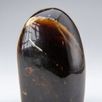 Genuine Polished Amber Freeform from Indonesia