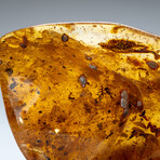 Genuine Amber from Baltic Sea, near Gdansk, Poland // 303.6 g